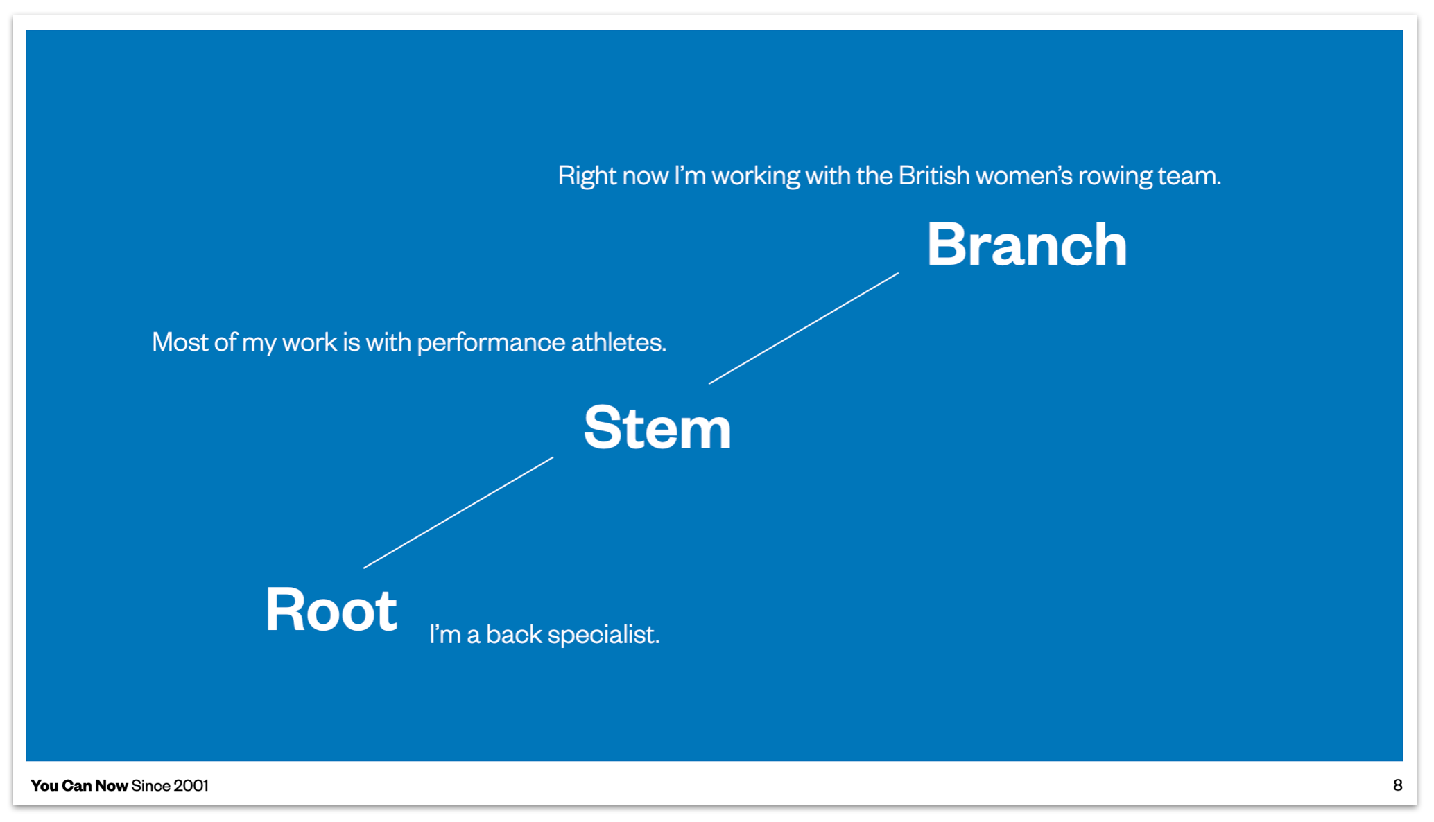 Root > Stem > Branch